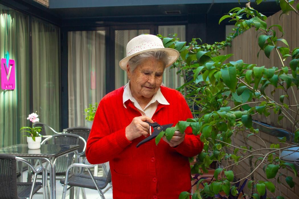 Images Residencia de Ancianos Sants, Barcelona | VITALIA HOME