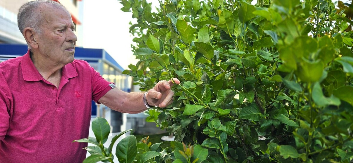 Images Vitalia Casablanca, Residencia de Ancianos en Zaragoza | VITALIA HOME