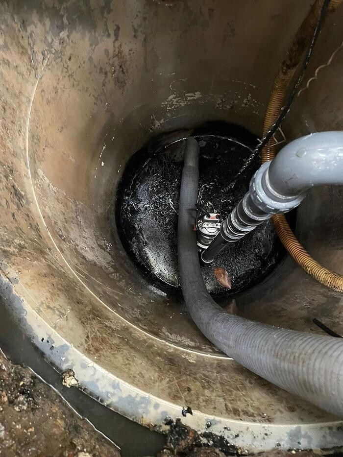 Images Desatascos Mario López