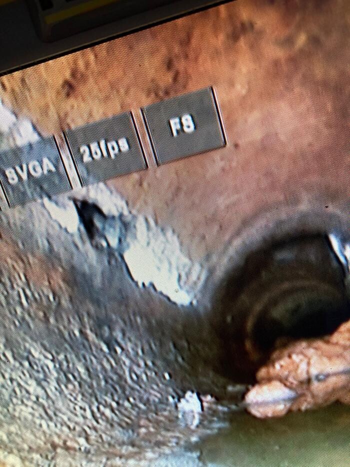 Images Desatascos Mario López