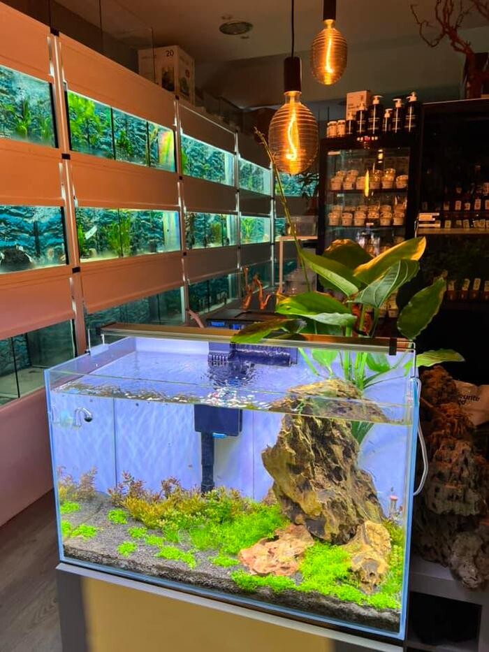 Images Aquasalvaje
