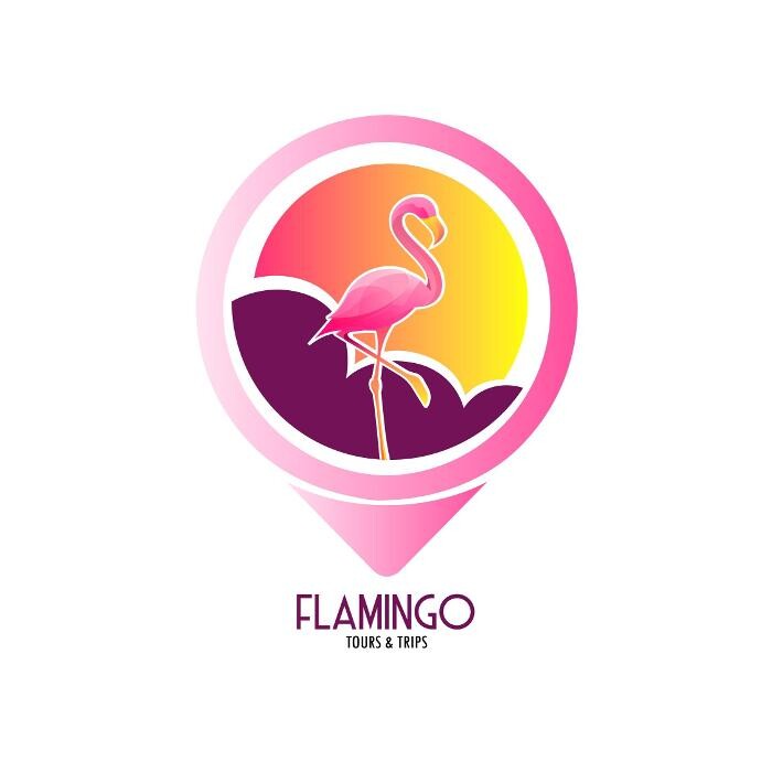 Flamingo Tours & Trips Logo