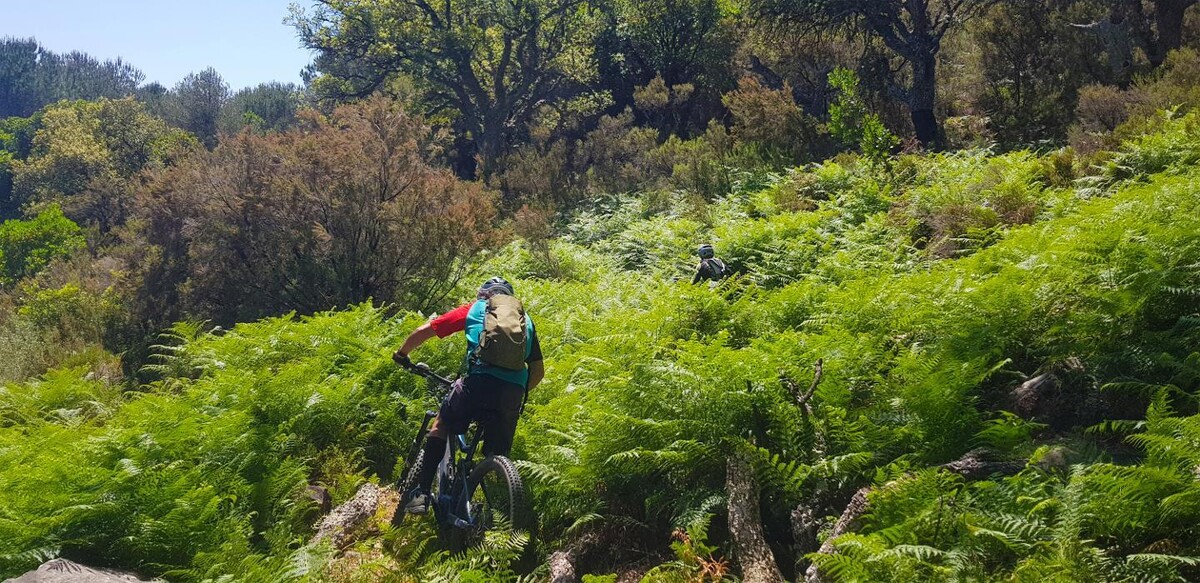 Images ELECTRIC BIKES TARIFA