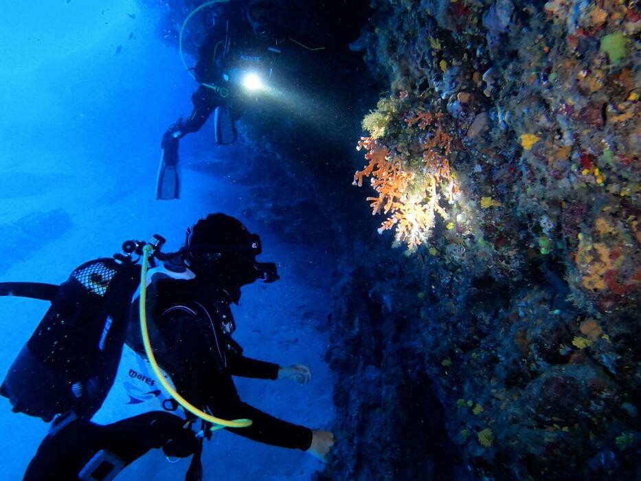 Images Pro Dive Lanzarote