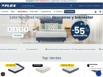 Website Screenshot Tienda Flex by Noctalia