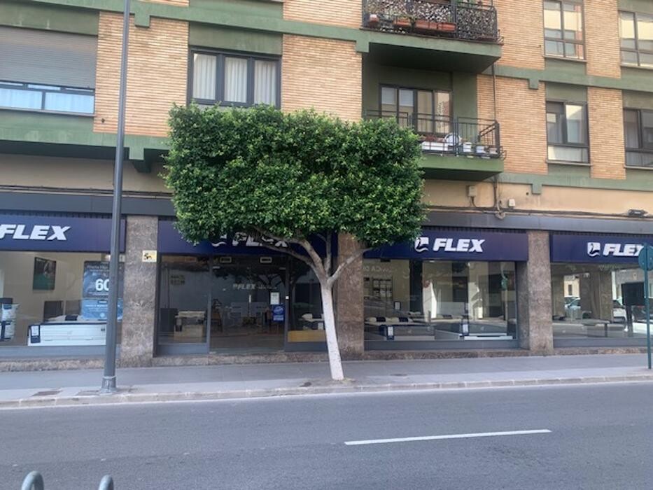 Images Tienda Flex by Noctalia