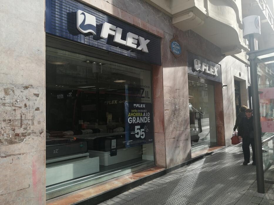 Images Tienda Flex by Noctalia
