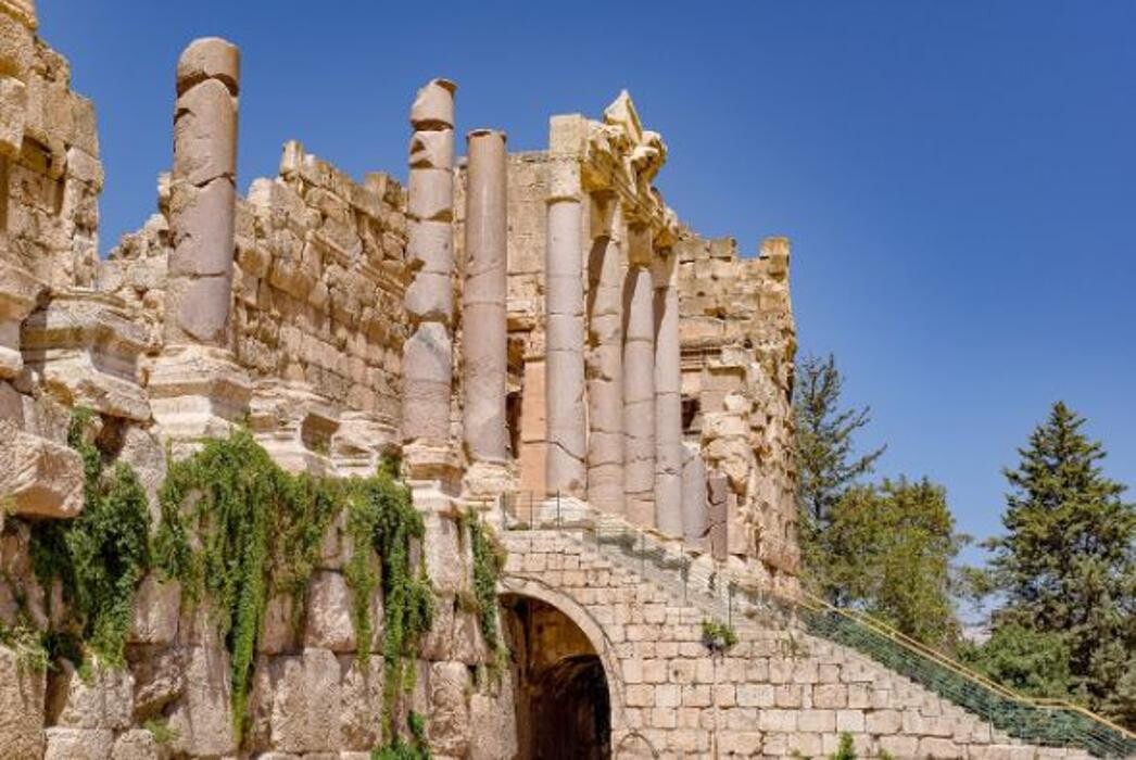 Images Restaurante Libanés Baalbek