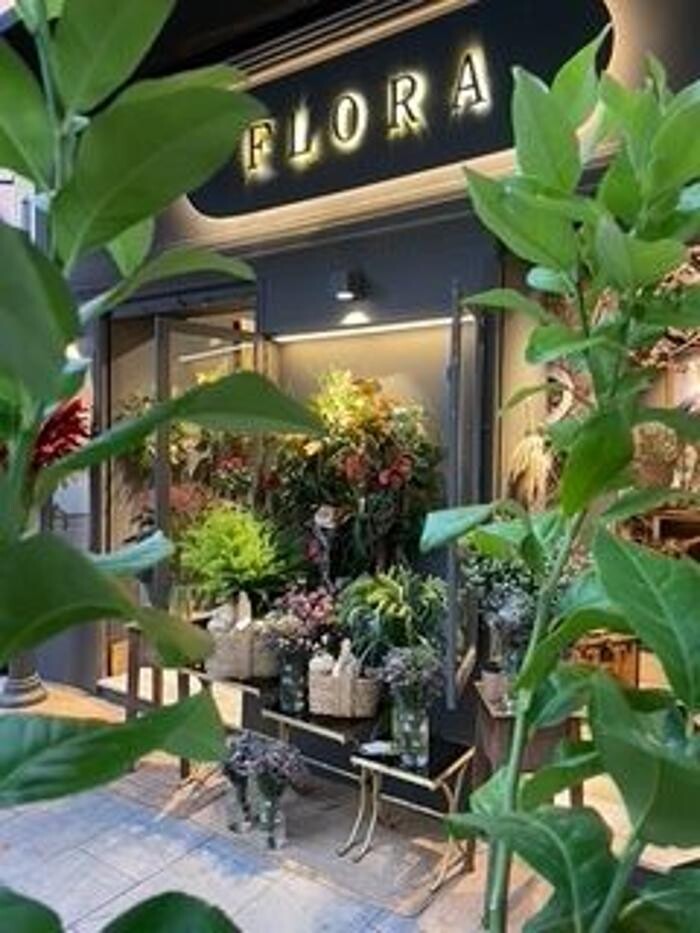 Images Flora Urban Jungle