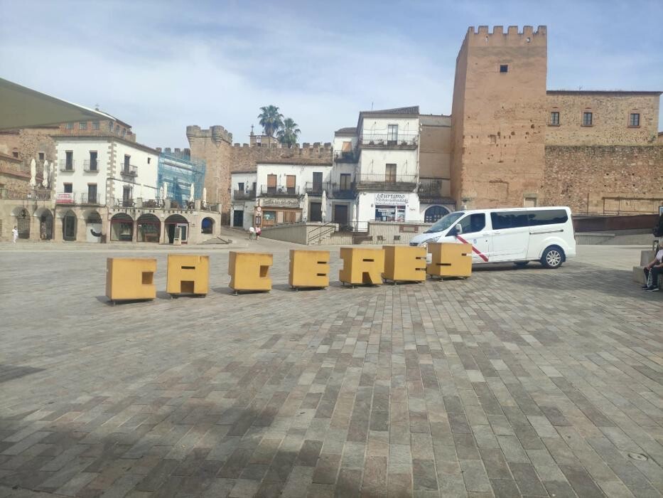 Images Taxi Kombi Madrid