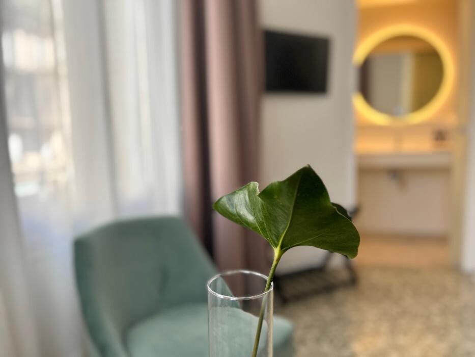 Images FORGETMENOT BARCELONA