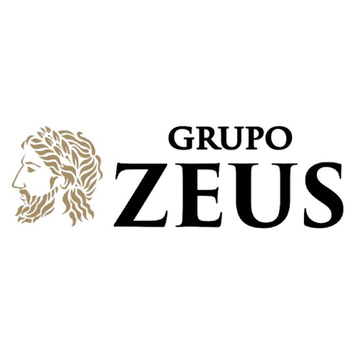 Zeus Multiservicios Logo