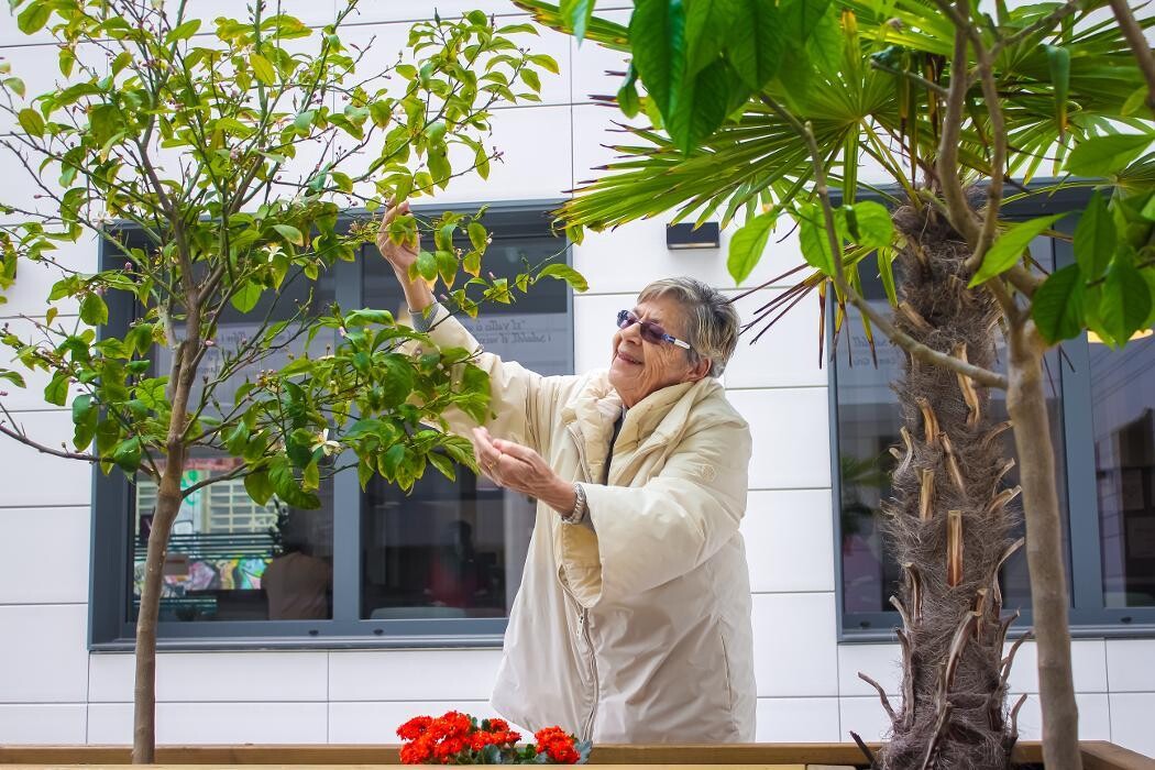 Images Residencia de Ancianos Sabadell, Barcelona | VITALIA HOME