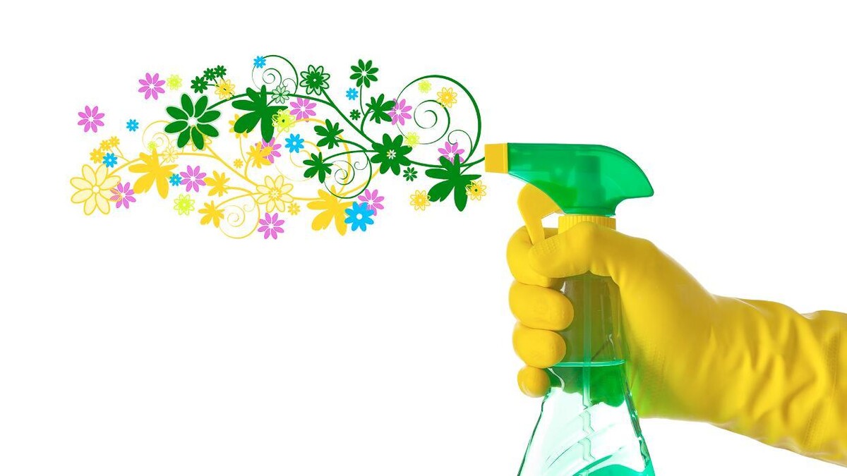 Images HOUSEKEEPING BARCELONA