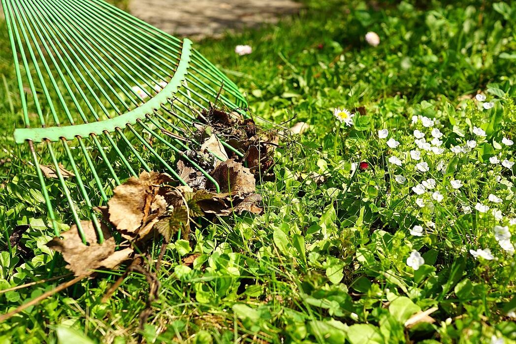 Images Más verde jardín y paisaje