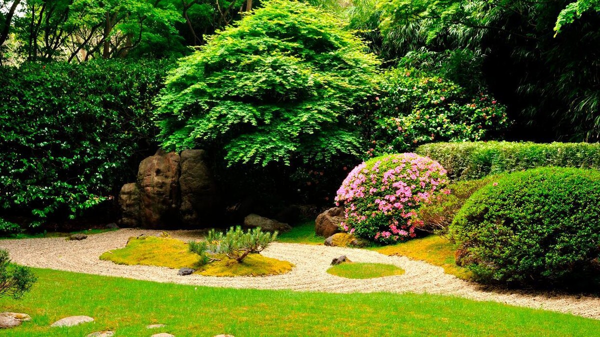 Images Más verde jardín y paisaje