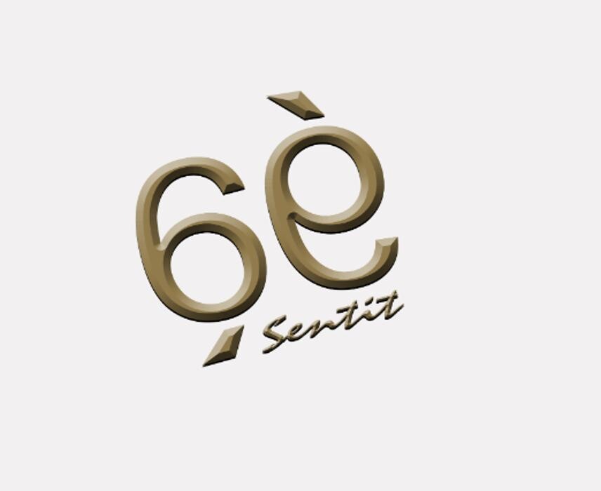 Sisè Sentit Logo