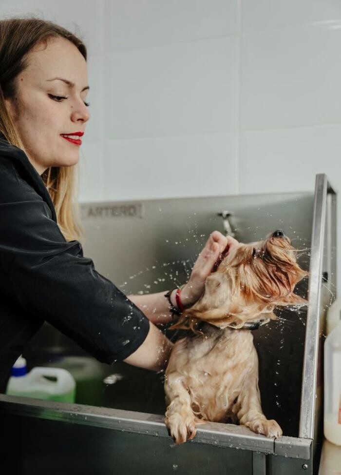 Images Mökai Mascotas