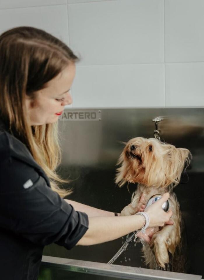 Images Mökai Mascotas