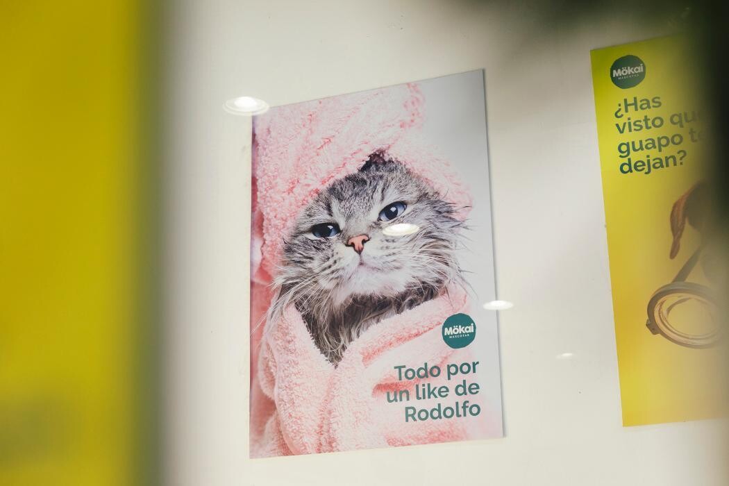 Images Mökai Mascotas