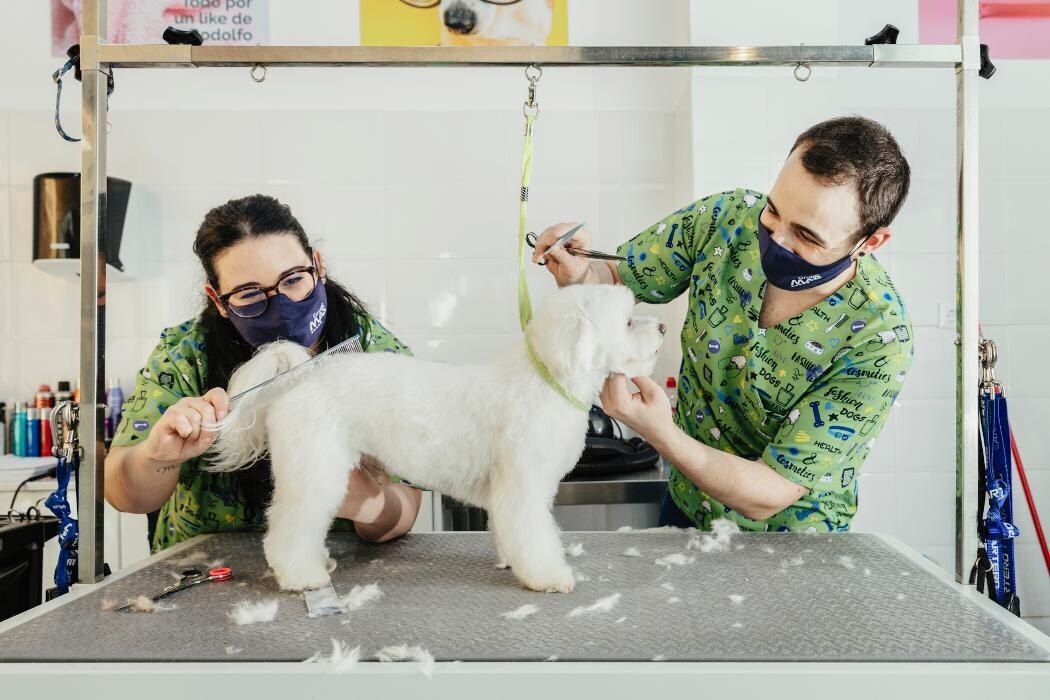 Images Mökai Mascotas