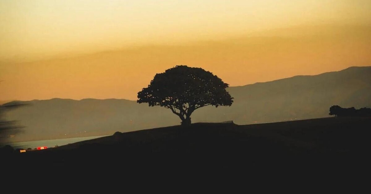 Images Susana García Agente de Seguros