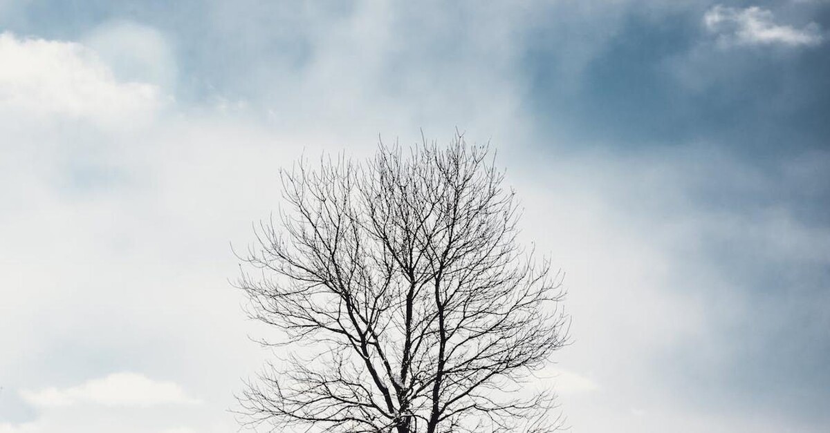 Images Susana García Agente de Seguros