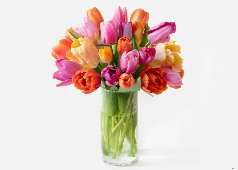 Images Floristeria Le Fleuriste
