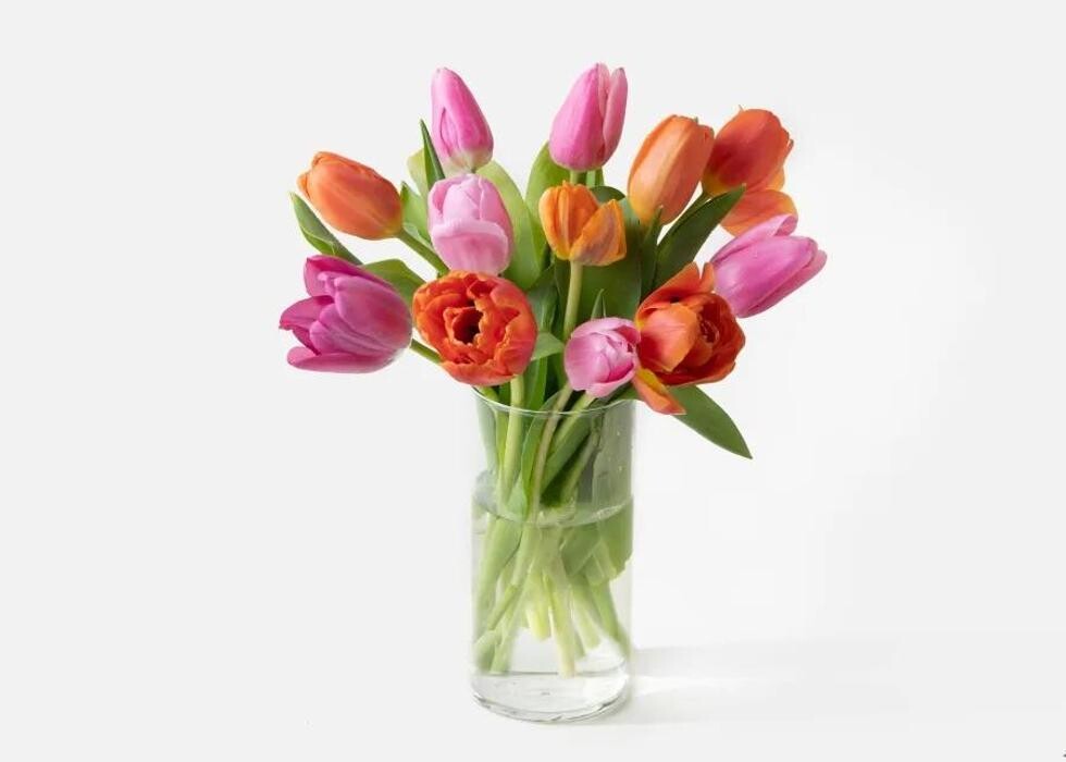 Images Floristeria Le Fleuriste