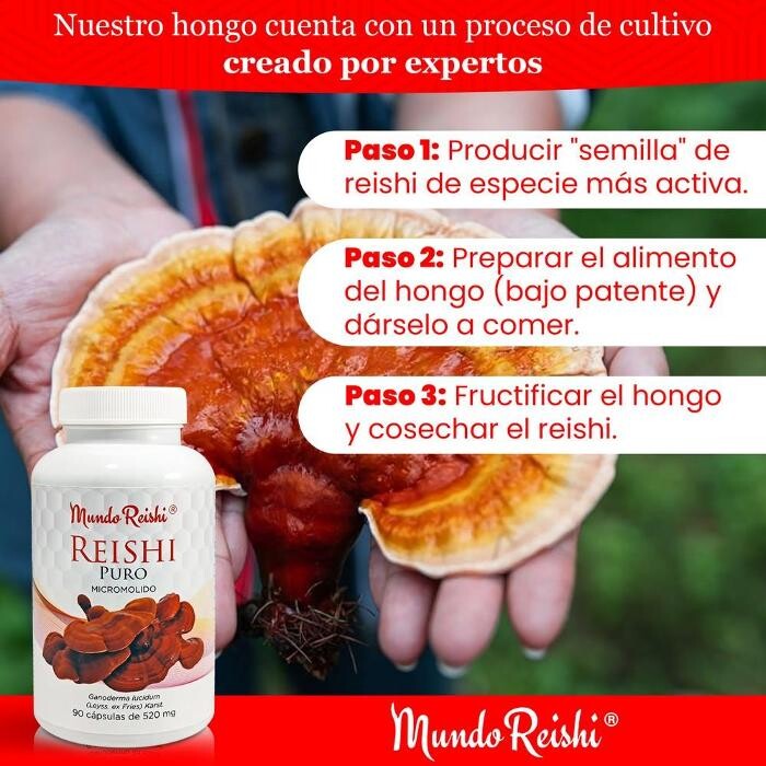 Images MundoReishi Salud. Tienda de medicinas naturales. Consultas de Naturópatía y fitoterapia.