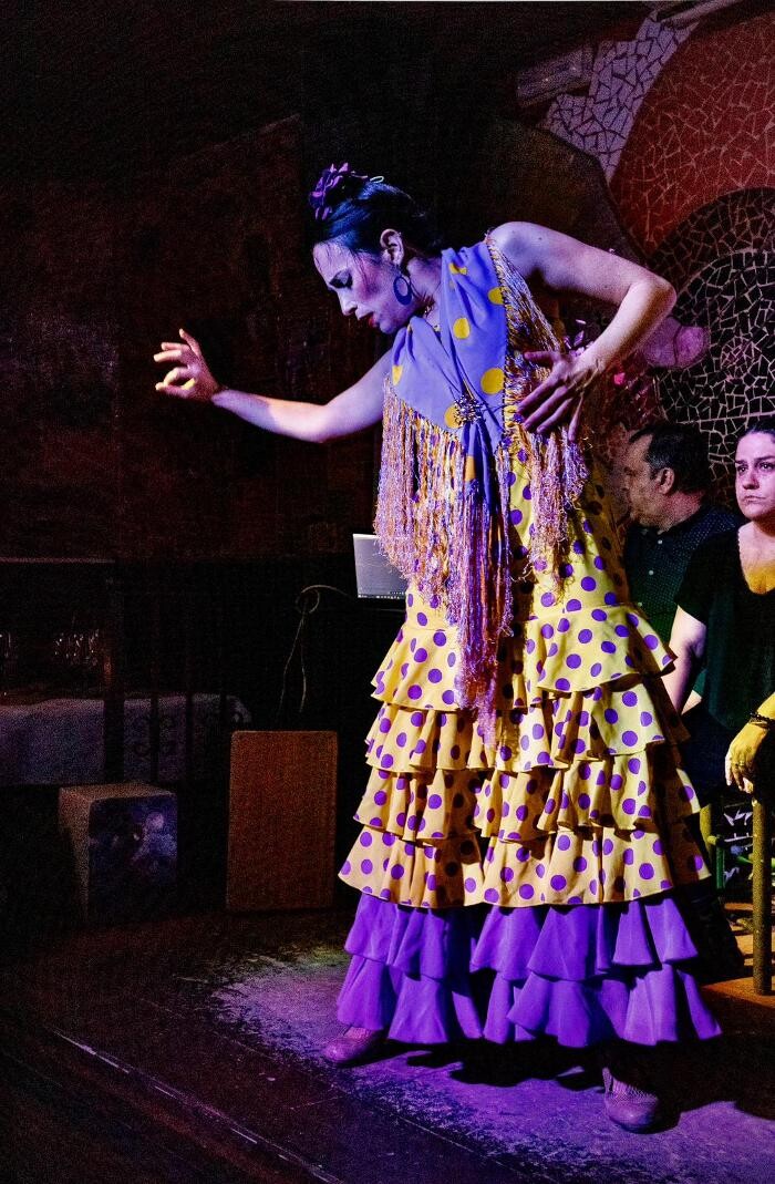 Images TABLAO FLAMENCO VALENCIA EL TORO Y LA LUNA