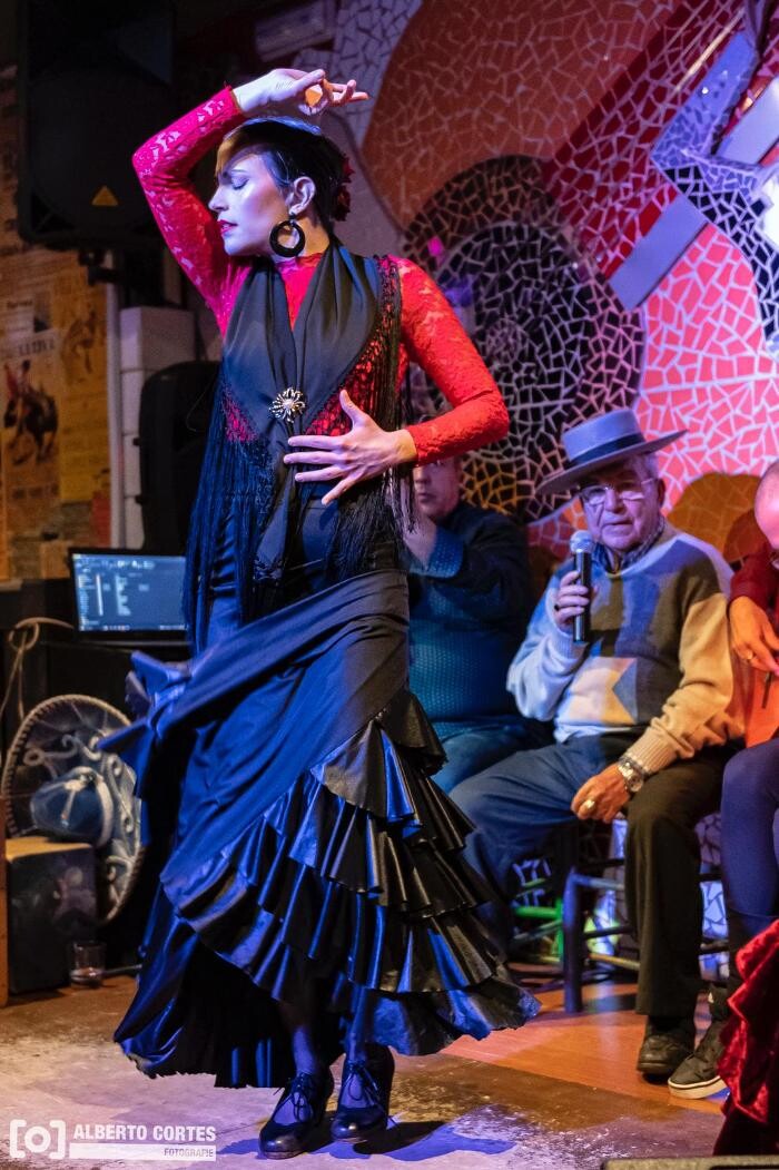 Images TABLAO FLAMENCO VALENCIA EL TORO Y LA LUNA