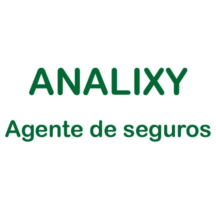 Analixy agente de seguros Logo