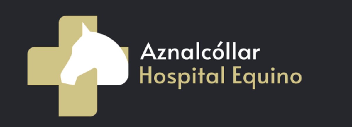 Aznalcollar hospital equino Logo