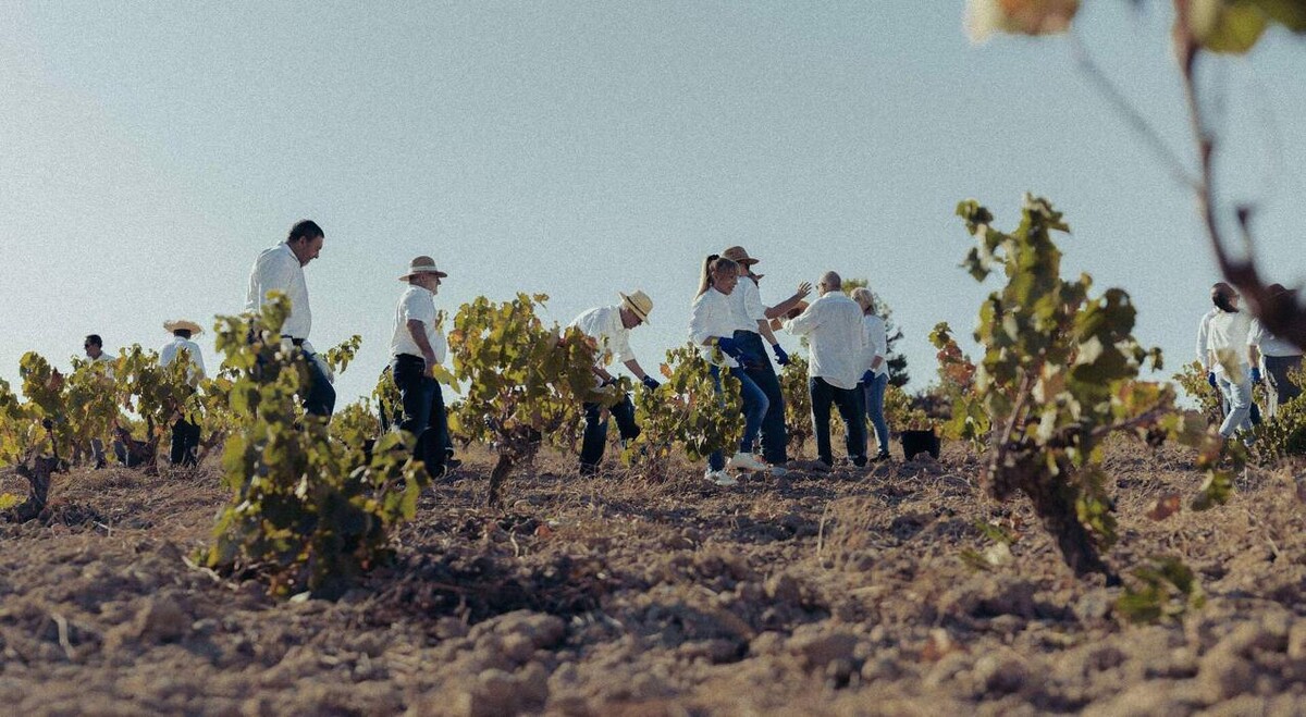 Images Bodegas Diecinueve Añada