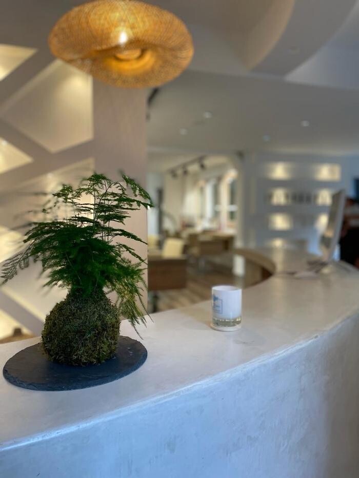 Images Bruna Alana Hair Salon