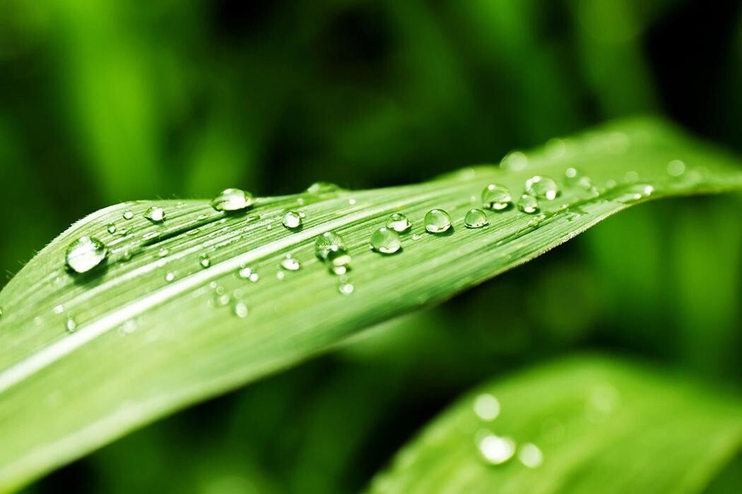 Images Servicios Integrales Gaitán