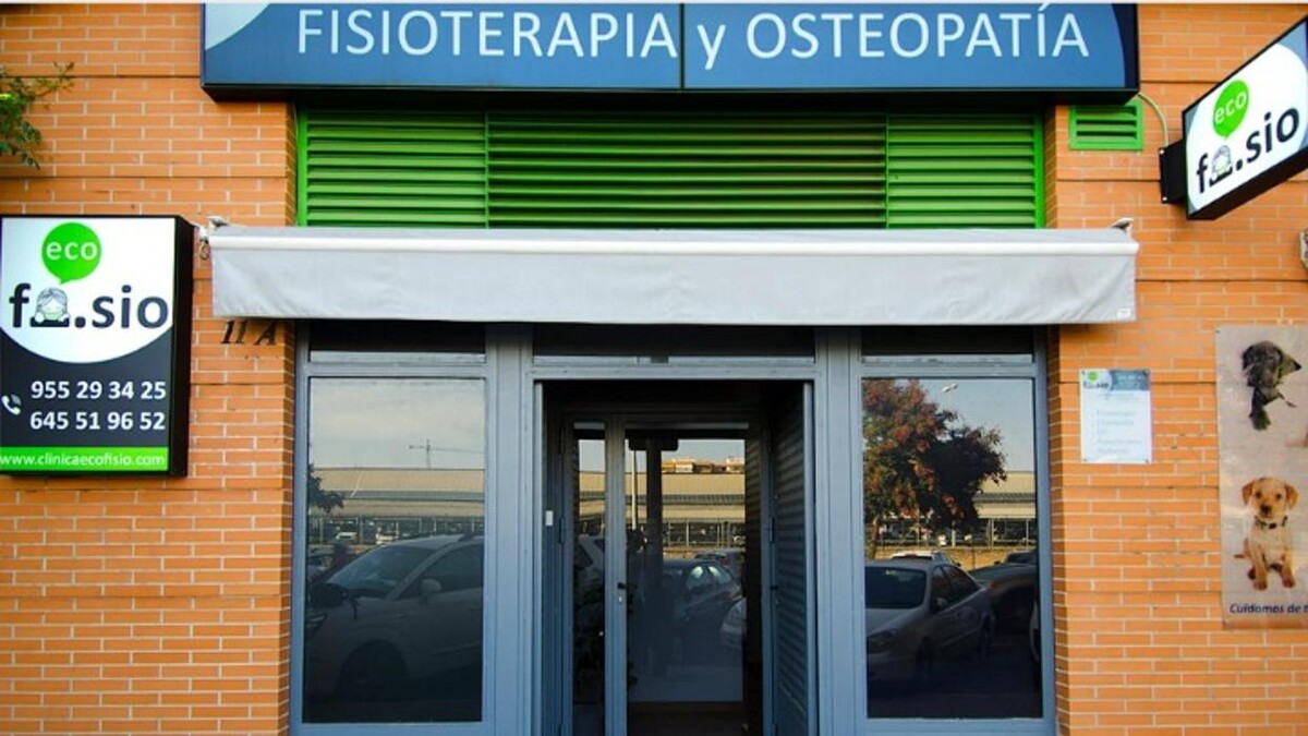Images Clínica De Fisioterapia Y Osteopatia Ecofisio
