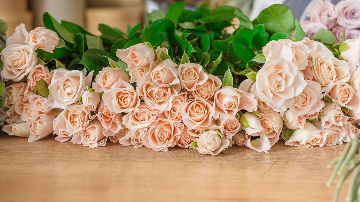 Images floristeria petalos