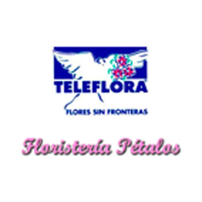 floristeria petalos Logo