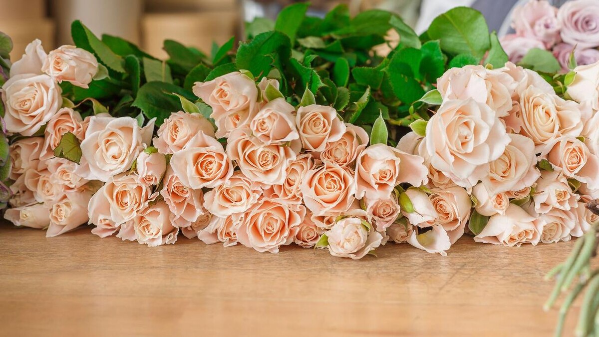 Images floristeria petalos