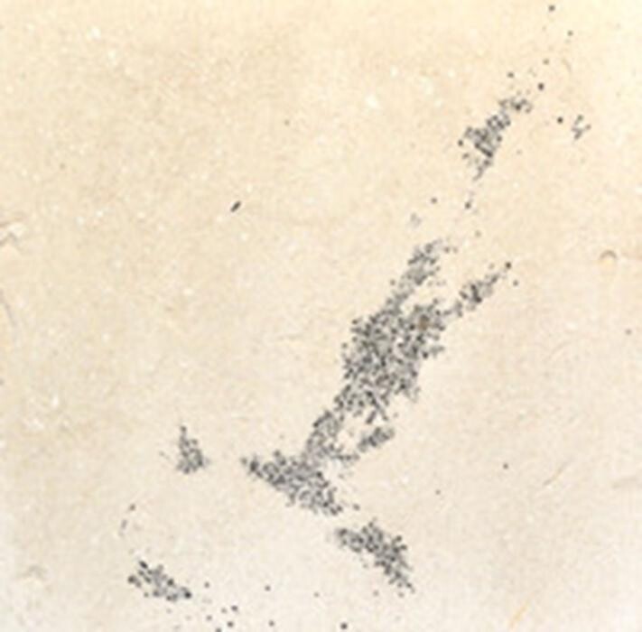 Images REFABRICADOS RIUTORT