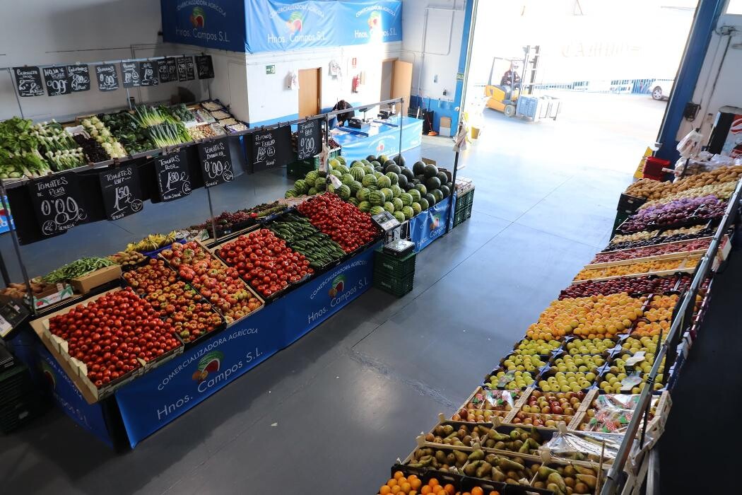 Images COMERCIALIZADORA AGRÍCOLA HERMANOS CAMPOS, S.L.