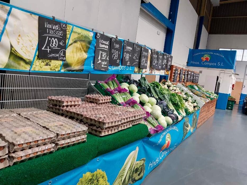 Images COMERCIALIZADORA AGRÍCOLA HERMANOS CAMPOS, S.L.