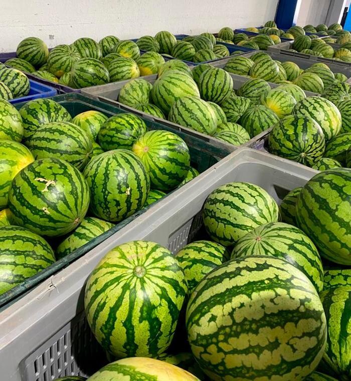 Images COMERCIALIZADORA AGRÍCOLA HERMANOS CAMPOS, S.L.