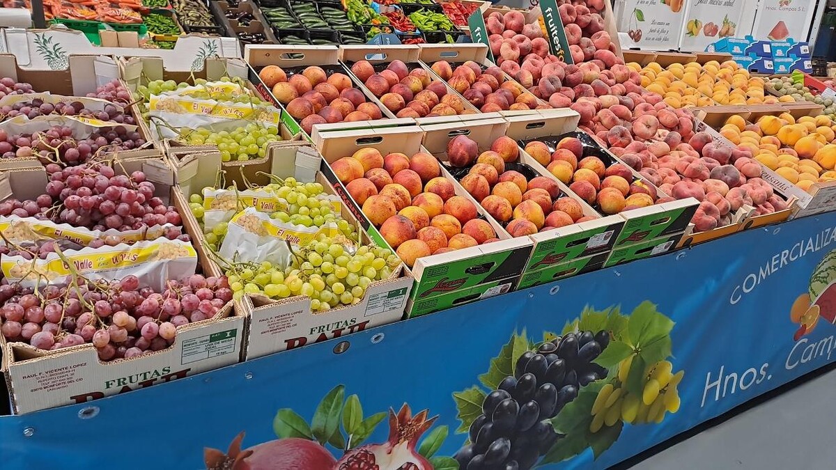 Images COMERCIALIZADORA AGRÍCOLA HERMANOS CAMPOS, S.L.