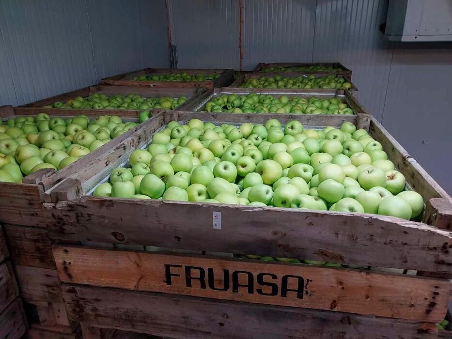 Images COMERCIALIZADORA AGRÍCOLA HERMANOS CAMPOS, S.L.