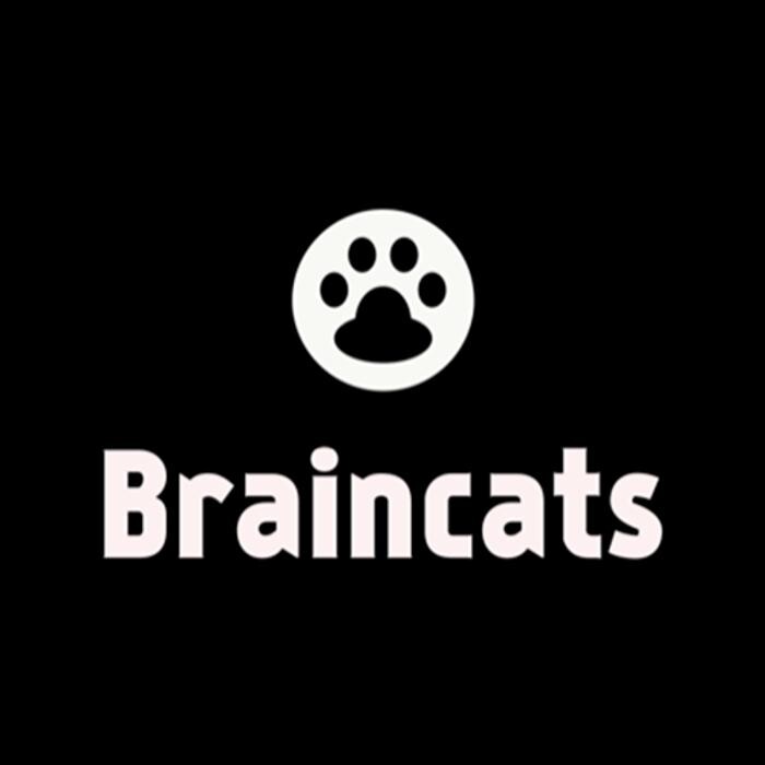 Braincats Consulting S.L Logo