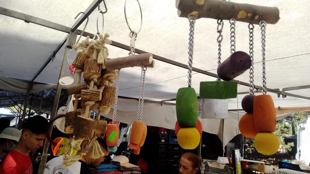 Images GARCÍA CLEMENTE-PLAZA