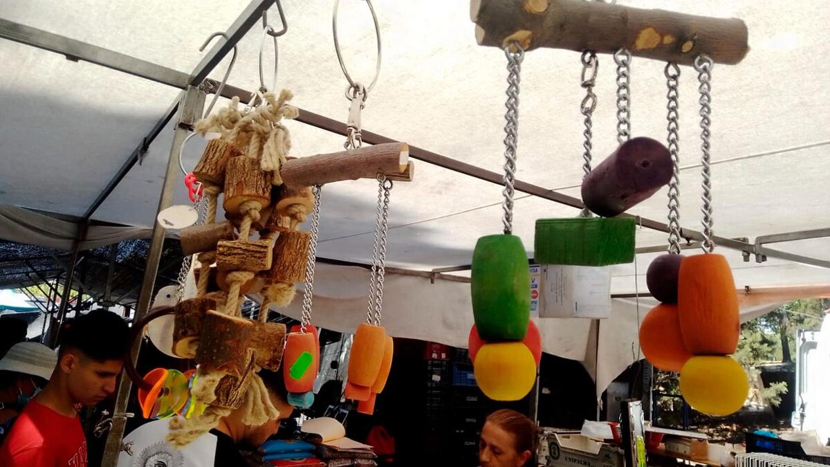 Images GARCÍA CLEMENTE-PLAZA